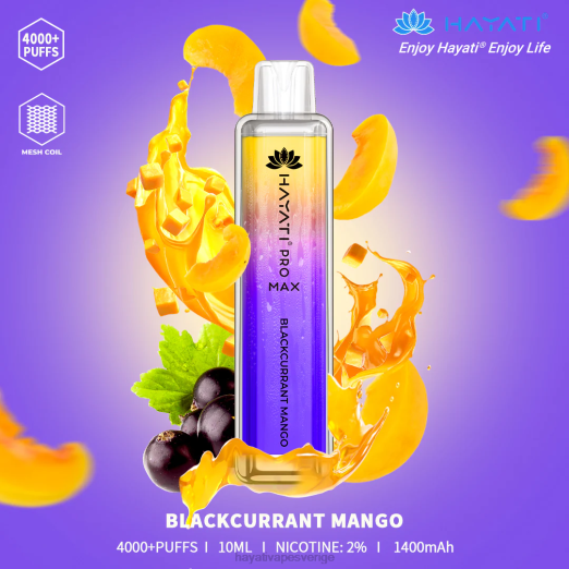 svartvinbärsmango