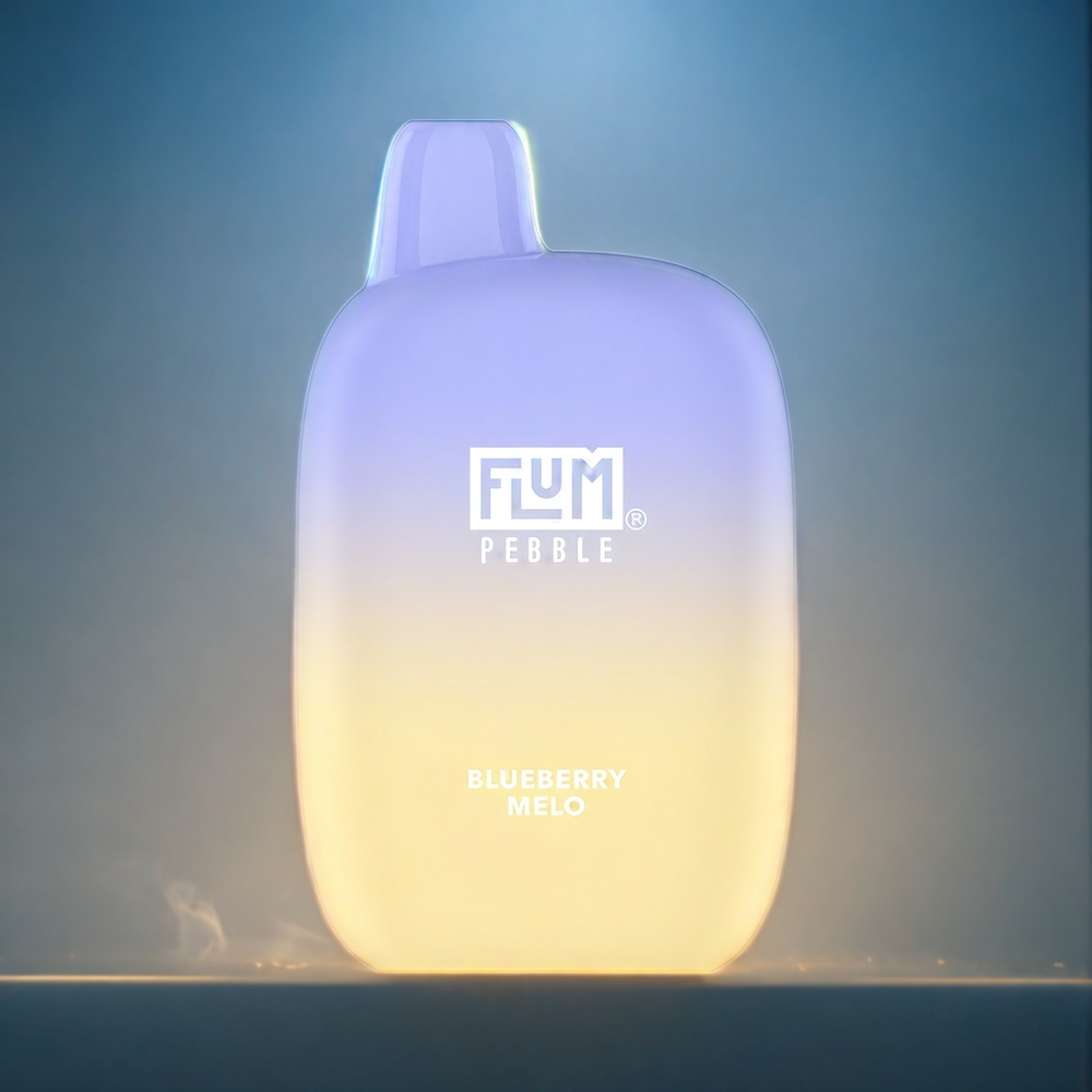 Blåbär Melon Flum Pebble 6000 Puffar 10ml E-vätska 5% Nikotin 500mAh Batteri Mesh Coil Typ-C Sverige Grossist