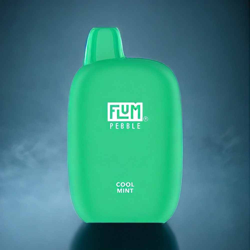 Cool Mint Flum Pebble 6000 Puffar 10ml 5% Nikotin 500mAh Mesh Coil Type-C Sverige Grossist