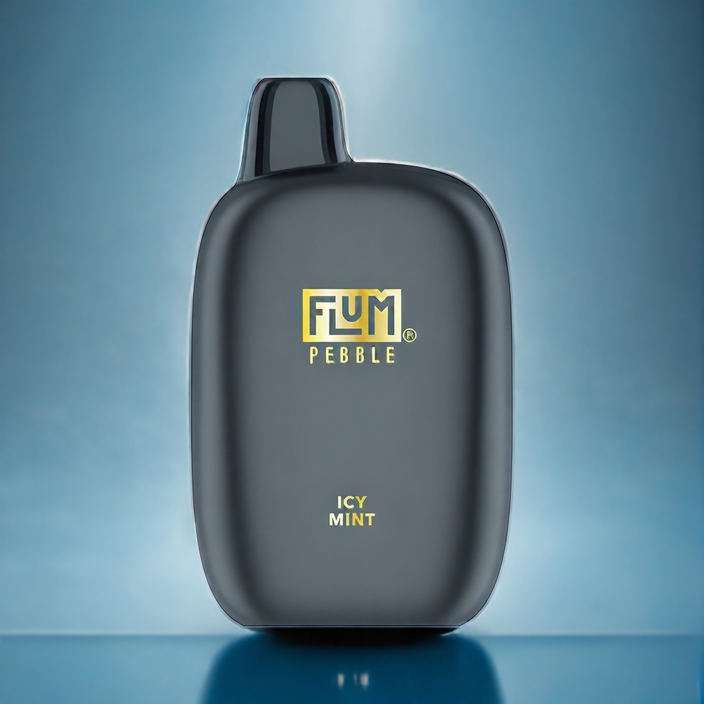 Isande Mynt Flum Pebble 6000 Puffar 10ml 5% 500mAh Mesh Coil Type-C Sverigegrossist