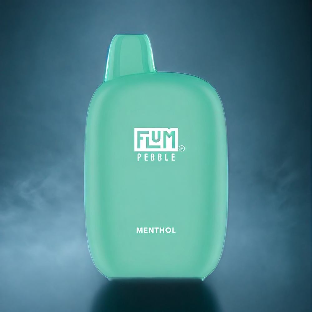 Menthol Flum Sten 6000 Puffar 10ml 5% 500mAh Mesh Coil Type-C Sverige Grossist