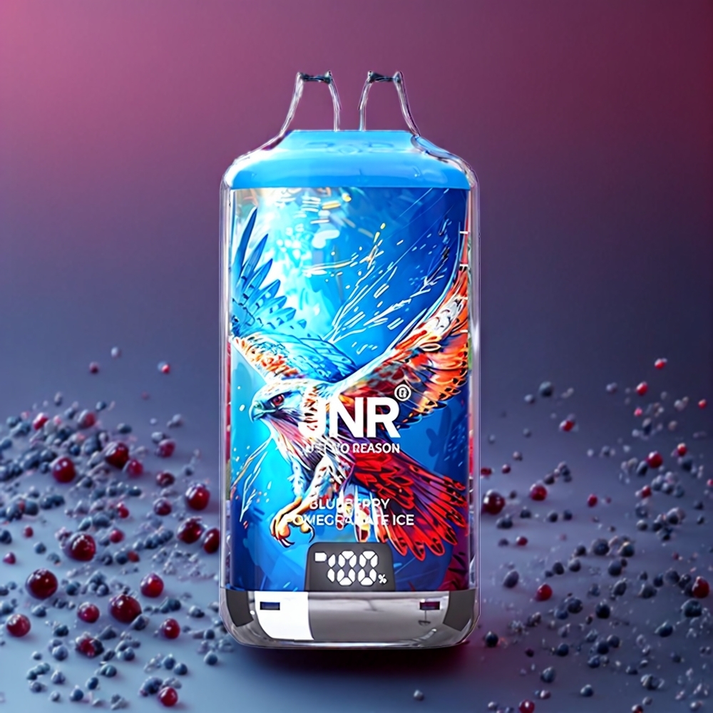 JNR Falcon X⁺ 28000 Puffar Synlig E-Vätska Nivå Toppfyllningsdesign 1.2Ω Dual Mesh Coil Batteriindikator Sverige Grossist Blåbär Granatäpple Is