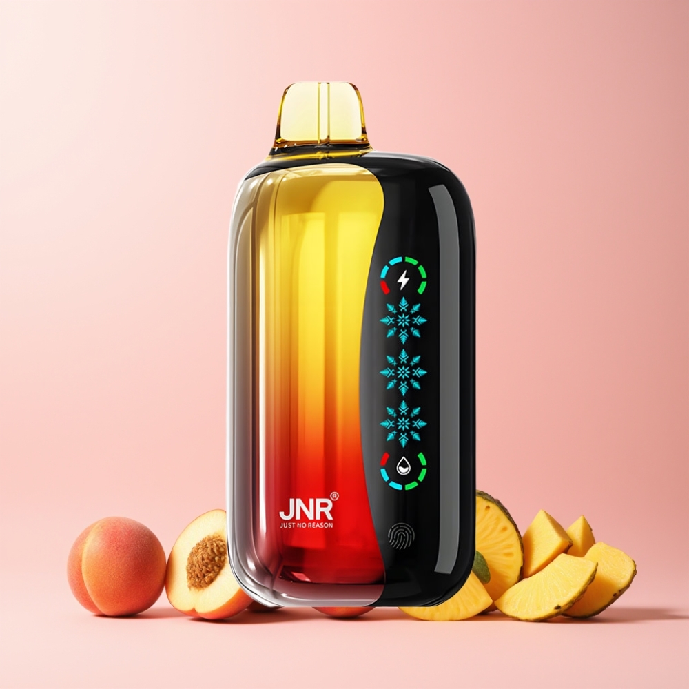 JNR Flex Ice 21000 Puffar Justerbar Is 26ml Touch Skärm Anpassningsbar Luftflöde 1.2 Ohm Dual Mesh 1000mAh Type-C Sverige Grossist Persika Mango Ananas