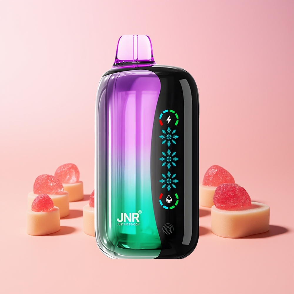 JNR Flex Ice 21000 Puffar Justerbar Is Touch Screen 1.2 Ohm Dual Mesh 1000mAh Typ-C Sverige Grossist Sursött Godis