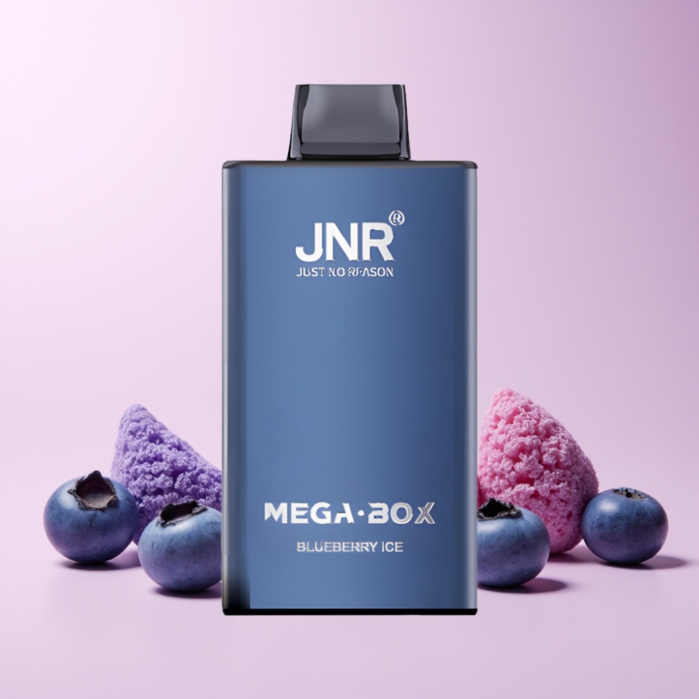 JNR Mega Box 25000 Puff Dual Mesh Coil Type-C Laddning Blåbär Is Sverige Grossist