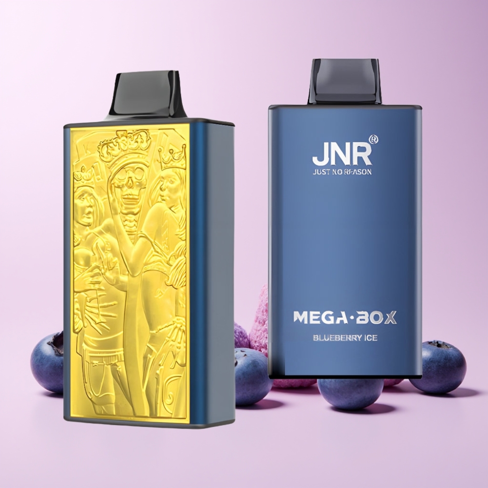 JNR Mega Box 25000 Puff Dual Mesh Coil Type-C Laddning Blåbär Is Sverige Grossist