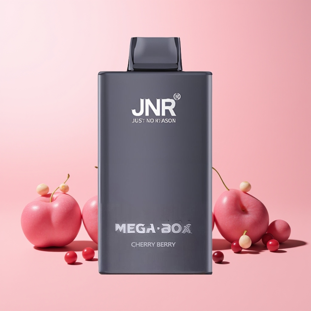 JNR Mega Box 25000 Puff Dual Mesh Typ-C Snabbuppladdning Sverige Grossist Körsbär Bär