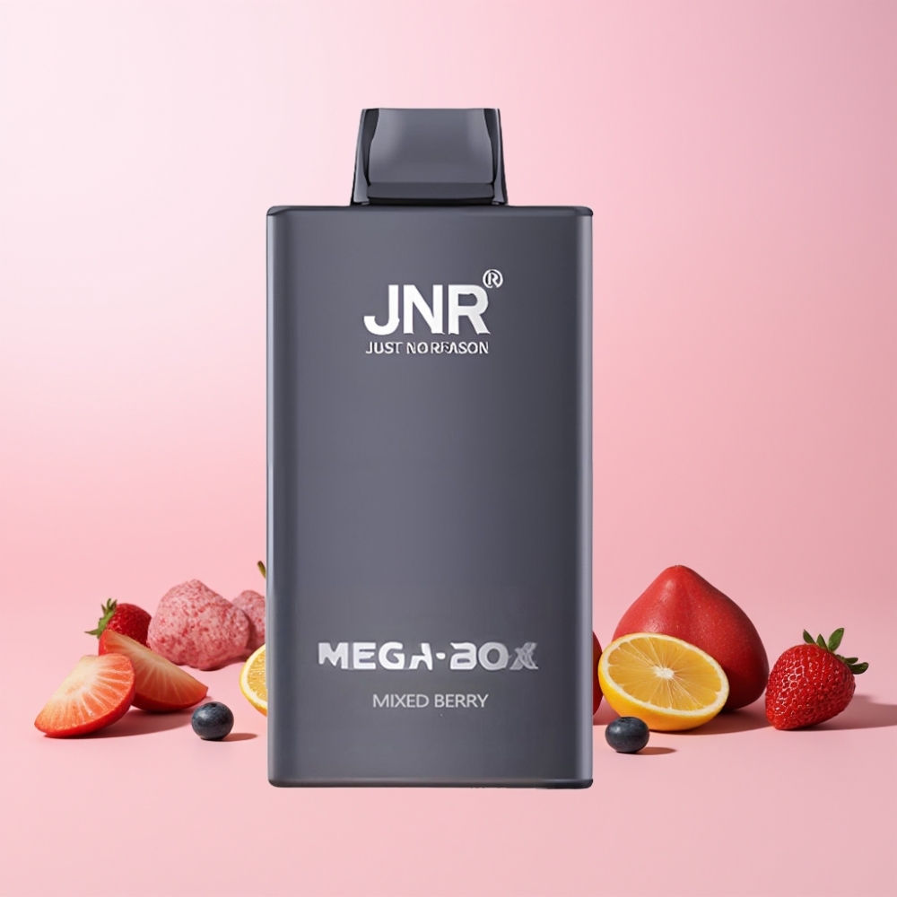 JNR Mega Box 25000 Puffar Disposable Vape Dual Mesh Coil Type-C Laddning 30ml E-vätska 850mAh Batteri Sverige Grossist Blandade Bär