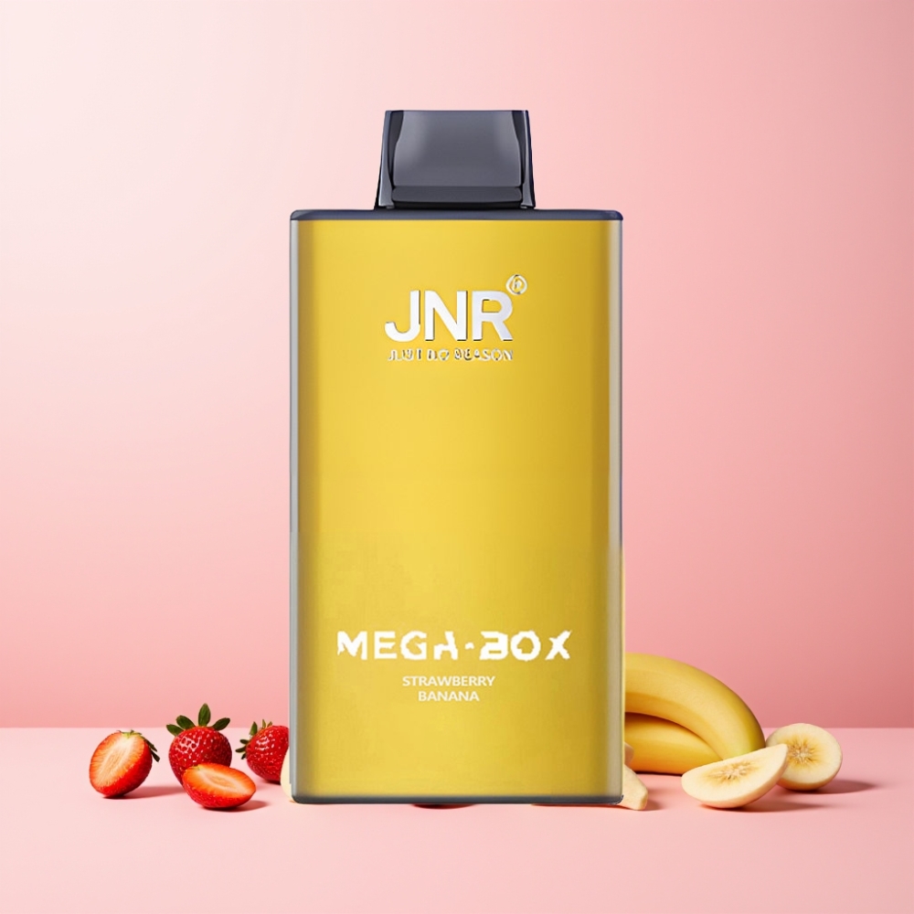 JNR Mega Box 25000 Puffar Dual Mesh Coil Type-C Laddning Sverige Grossist Jordgubb Banan