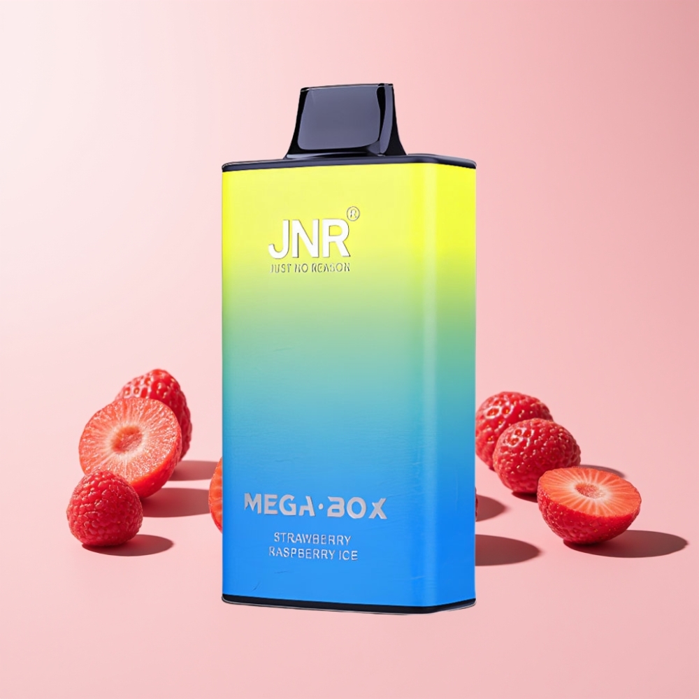 JNR Mega Box 25000 Puffar Dual Mesh Coil Type-C Laddning Sverige Grossist Jordgubb Hallon Is