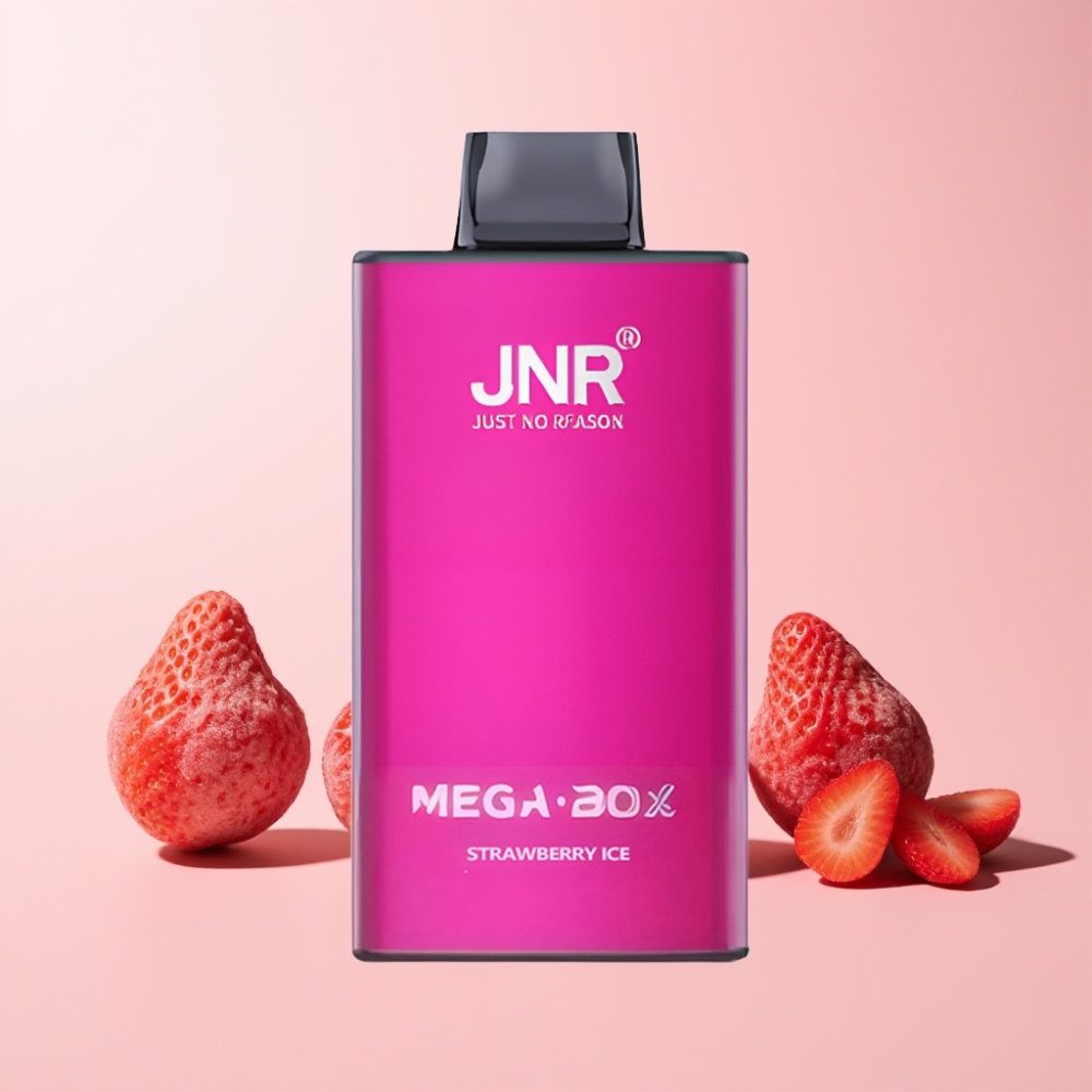 JNR Mega Box 25000 Puffar Dual Mesh Coil Type-C Snabbladdning Sverige Grossist Jordgubb Is