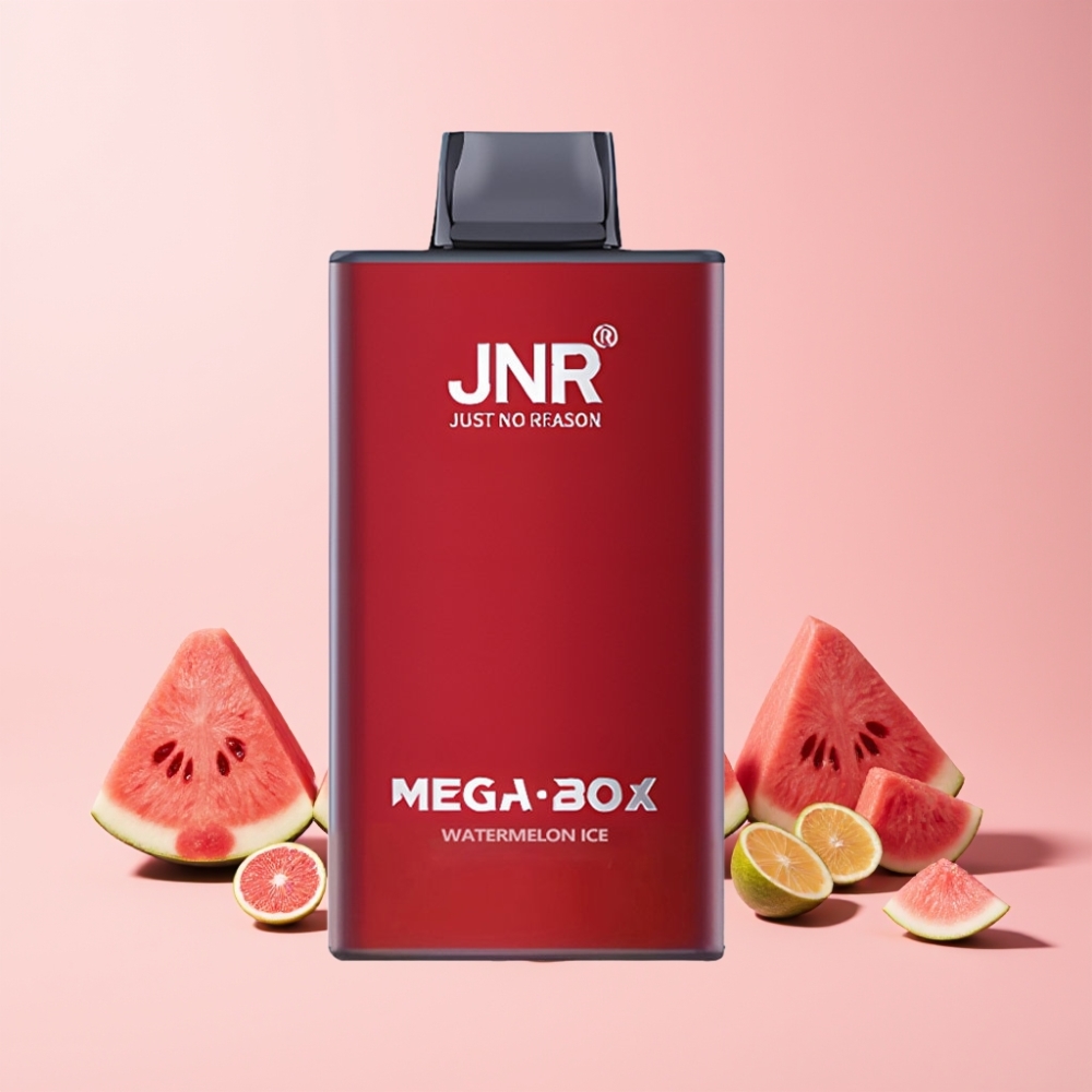 JNR Mega Box 25000 Puffar Dual Mesh Coil Type-C Sverige Grossist Vattenmelon Is
