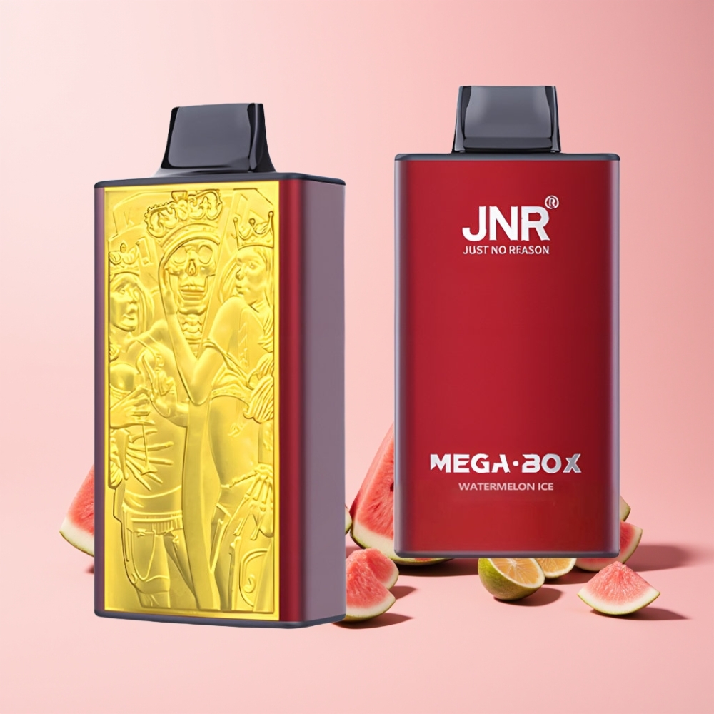 JNR Mega Box 25000 Puffar Dual Mesh Coil Type-C Sverige Grossist Vattenmelon Is