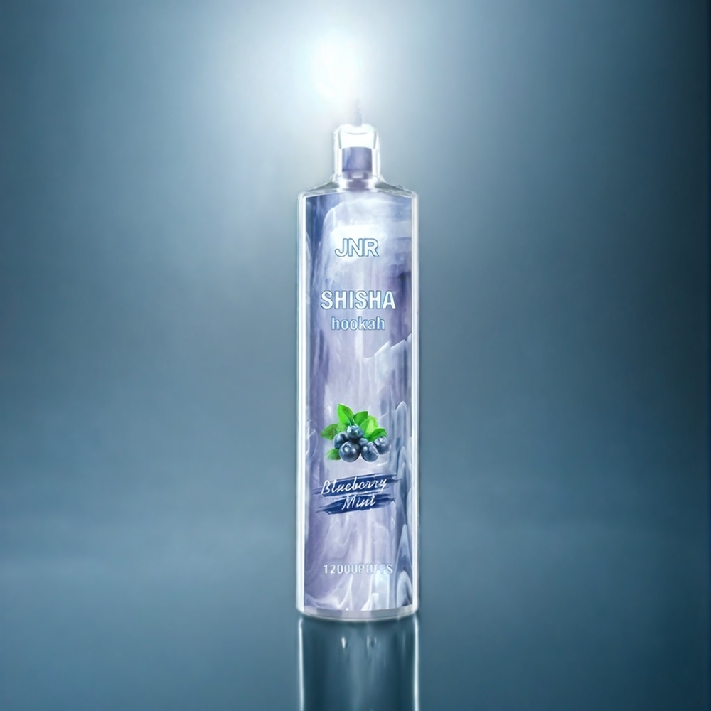Blåbär Mynta JNR Shisha Hookah 12000 Puffar 750mAh 24ml 0.6 Ohm Sverige Grossist