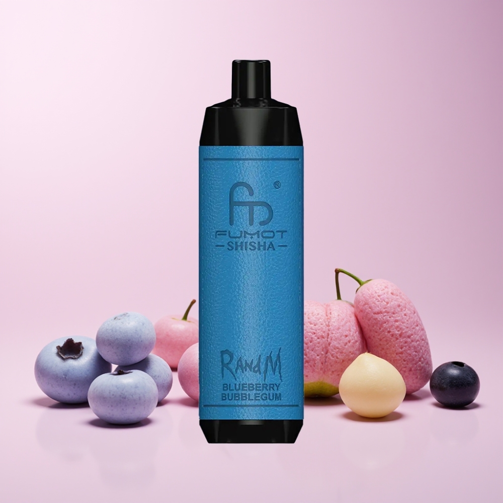 RandM Fumot Shisha 10000 Puff LED Indikator 18ml Typ-C 850 mAh Sverige Grossist Blåbärs Tuggummi