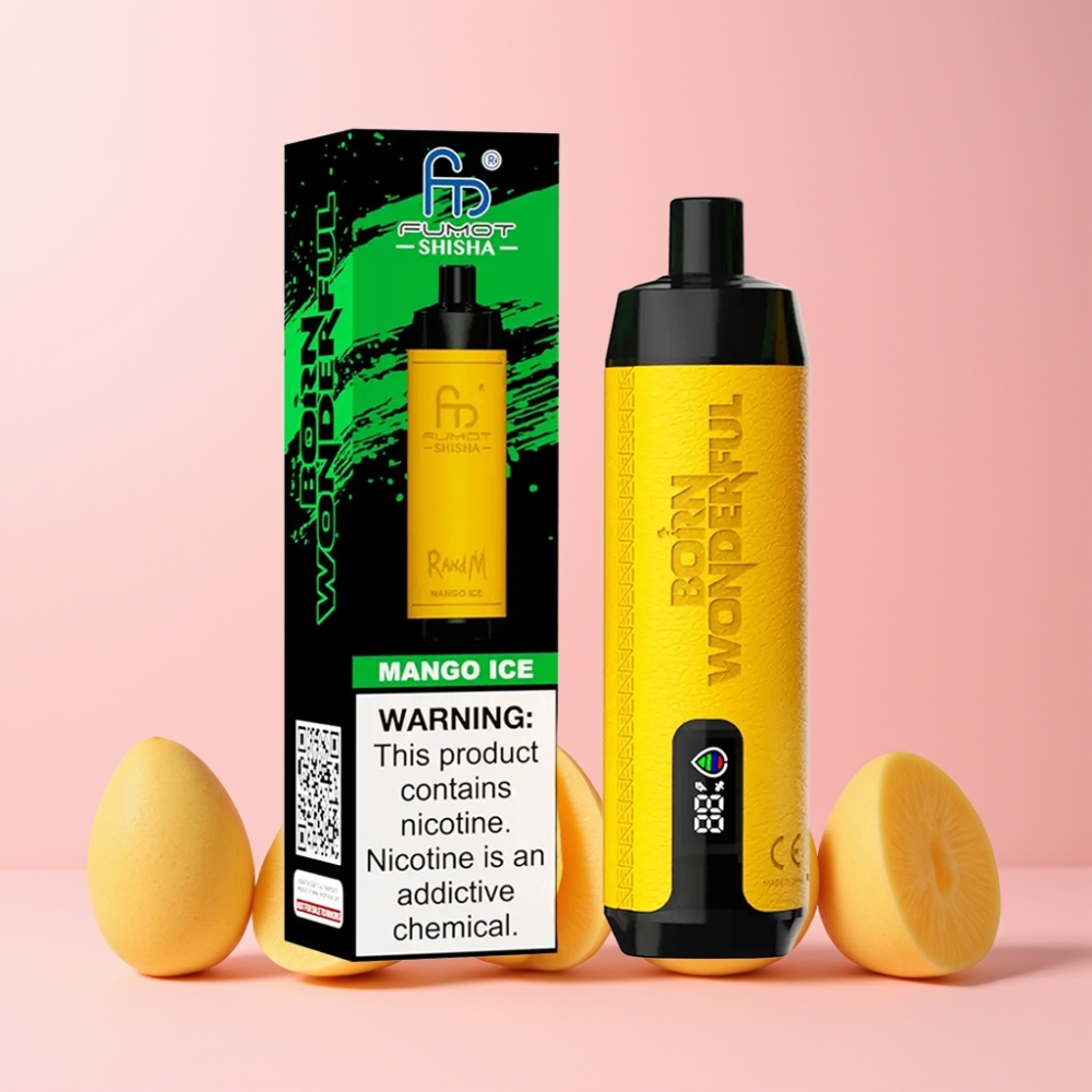 RandM Fumot Shisha 10000 Puffs LED Indicator 18ml Type-C Mango Is Sverige Grossist