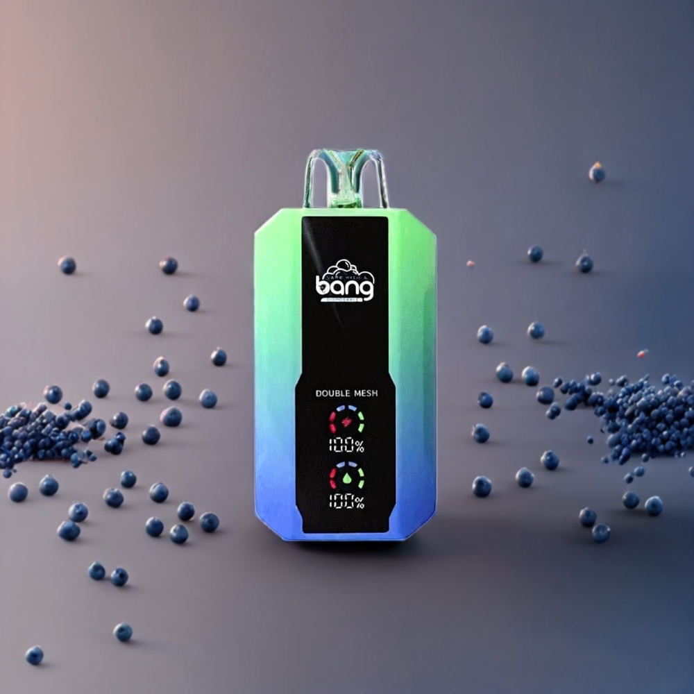 Bang 25000 Puffs Blåbär Mynta Sverige Grossist 650mAh 30ml Mesh 1.0 ohm Type-C