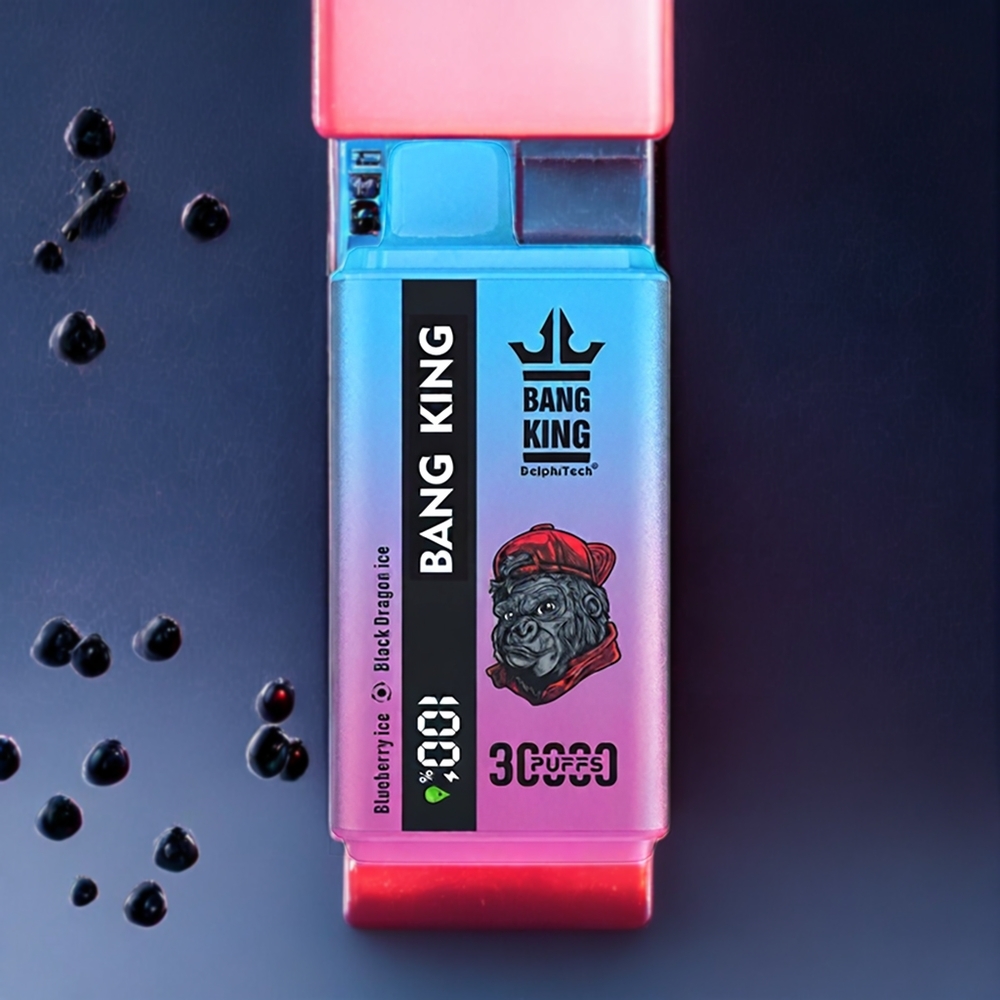 Bang King 30000 Puffs 36ml 550mAh 1.2 Mesh Dual Coil Type-C Sverige Grossist BlåbärsIs Svart DrakeIs