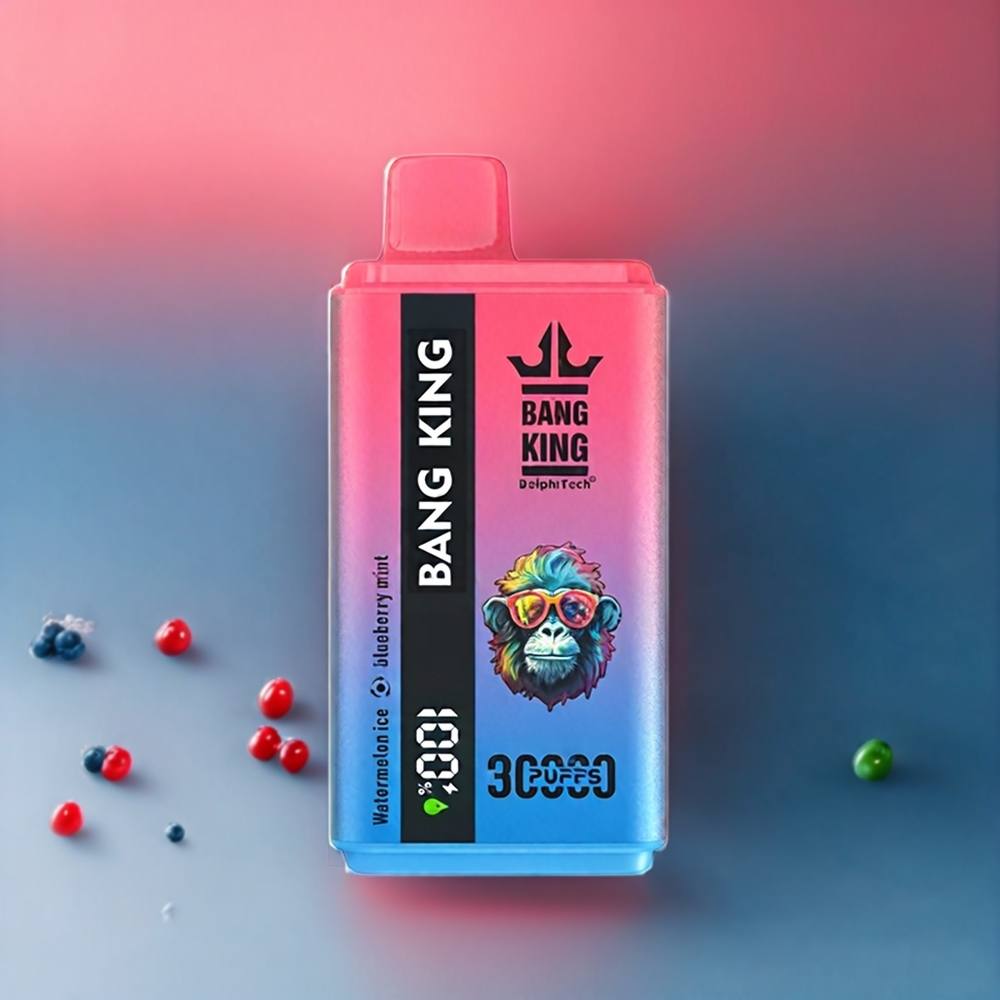Bang King 30000 Puffs 36ml 550mAh 1.2 Mesh Dual Coil Type-C Sverige Grossist Vattenmelon Is Blåbärsmynta