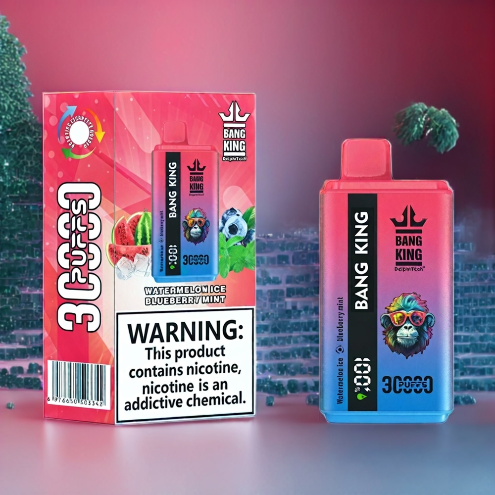 Bang King 30000 Puffs 36ml 550mAh 1.2 Mesh Dual Coil Type-C Sverige Grossist Vattenmelon Is Blåbärsmynta