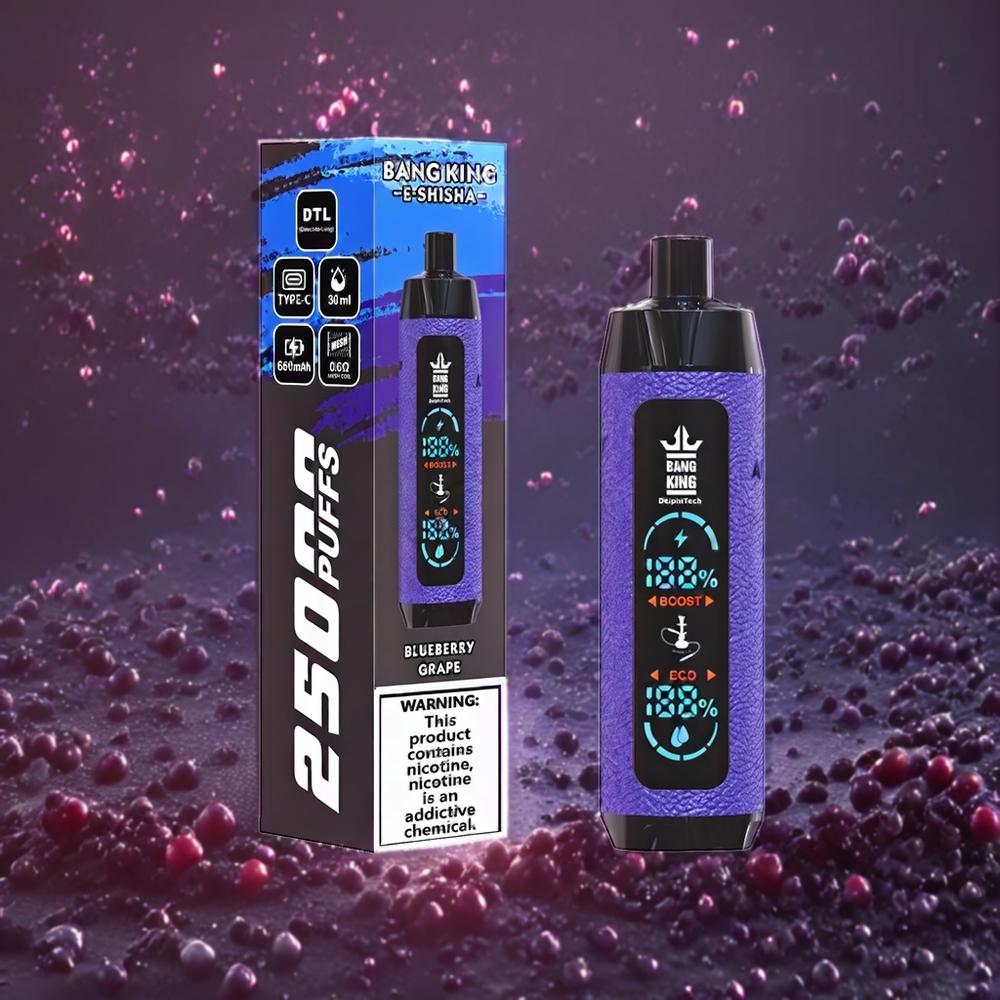 Bang King Shisha 25000 Puffs 30ml 650mAh 0.6 Ohm Type-C Sverige Grossist Blåbär Druva