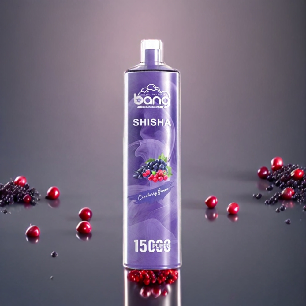 Bang Shisha 15000 Puffs Sverige Grossist Typ-C Laddning 23ml E-vätska 600mAh Batteri Tranbär Druva