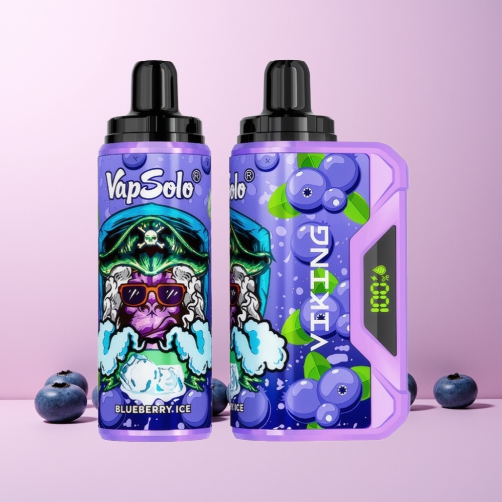 VapSolo VIKING 12000 Puffs 22ml Type-C Sverige Grossist Blåbär