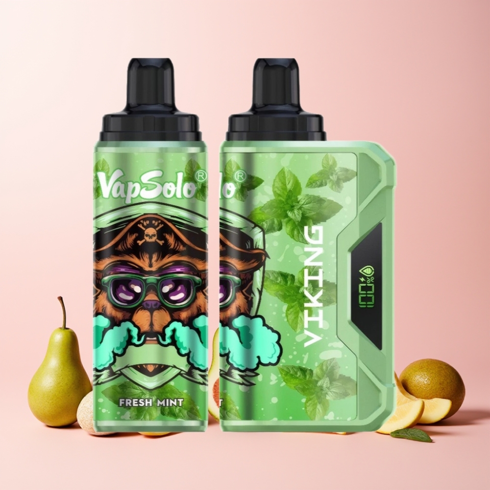 VapSolo VIKING 12000 Puffs 22ml Type-C Sverige Grossist Frisk Mynta